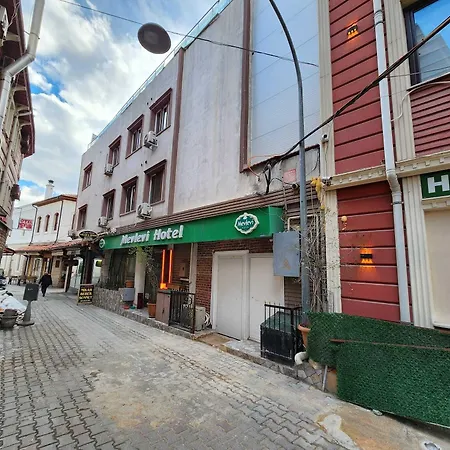 Mevlevi