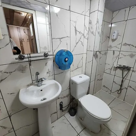 Mevlevi *